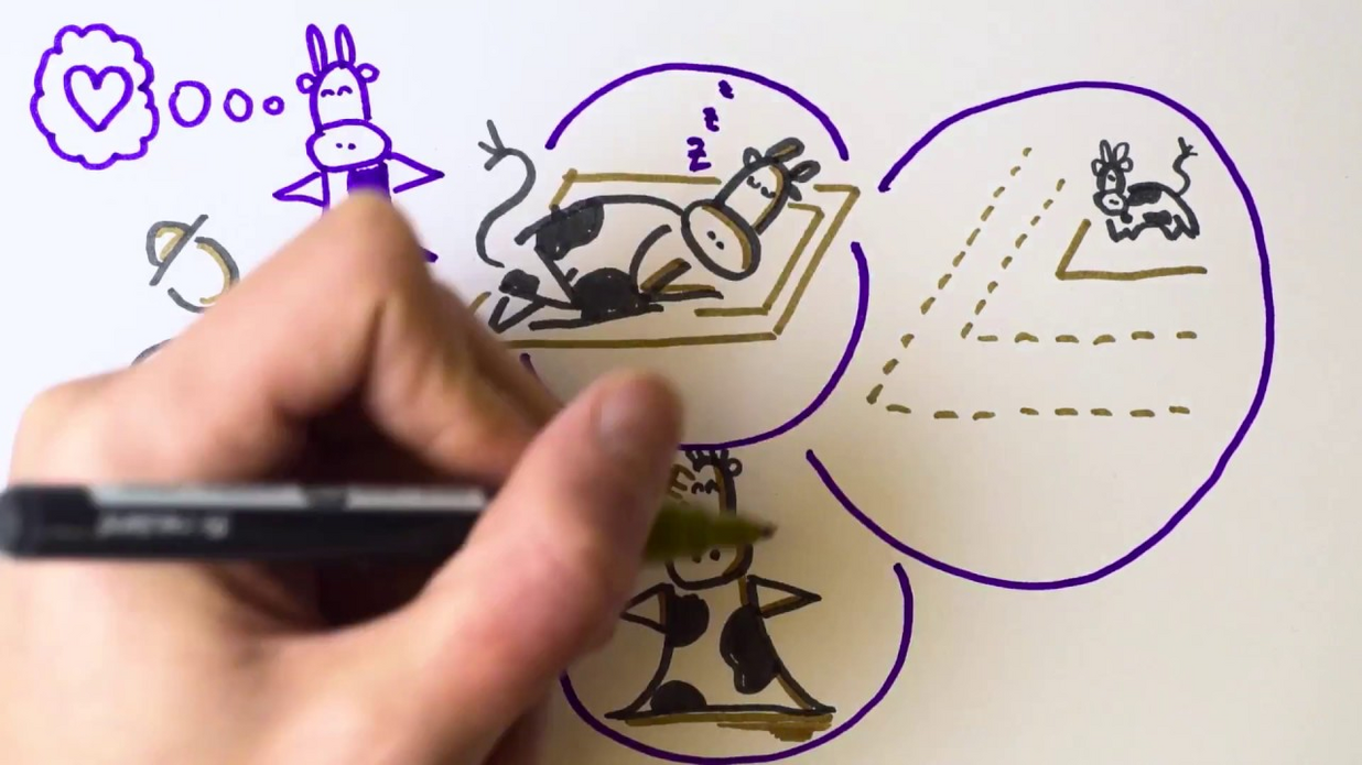 Massentierhaltung in Österreich? So produzieren unsere Bauern wirklich.